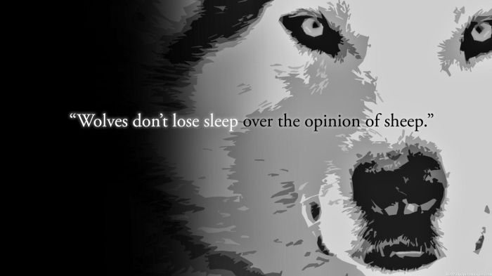 wolves-and-sheep-quotes-images